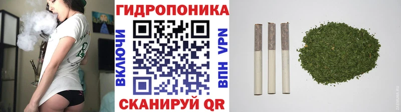 Бошки Шишки ГИДРОПОН  Купить  Белая Калитва 